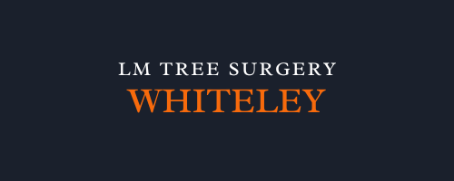 LM Tree Surgery Whiteley